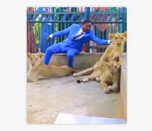 Video – Pastor se mete en una celda con leones para recrear una historia bíblica