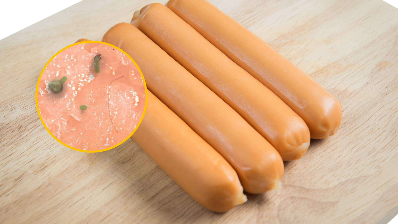 Así luce una salchicha bajo el microscopio