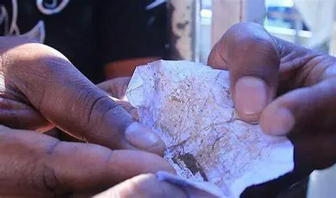 Burundanga