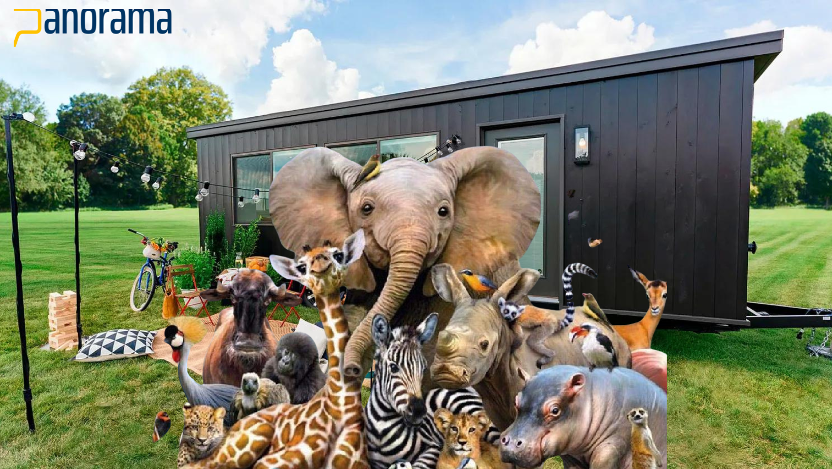 Mujer vive con 300 animales
