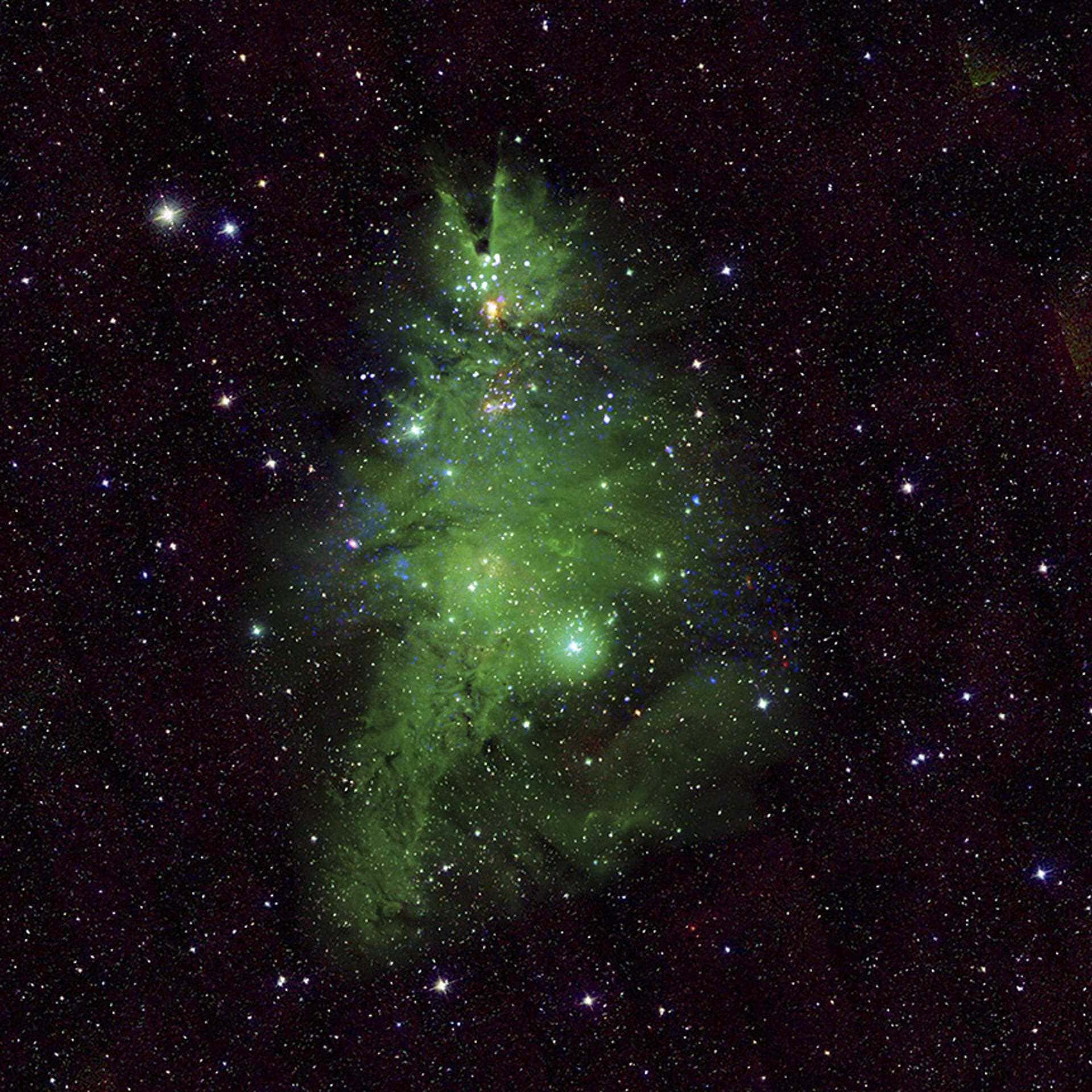 Nasa árbol de Navidad