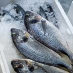 ¿Comemos el plástico que comen los peces? estudios dice que sí