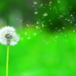 Onamet pronostica lluvias débiles por efectos del viento hoy