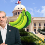 Presidente Abinader crea Comisión Dominicana del Plátano (CODOPLATANO) Disposición intensifica apoyo a la producción del plátano, que significará generación de empleos, creación de políticas públicas e incentivos en beneficio de los productores y el incremento de la comercialización del plátano en el mercado local e internacional