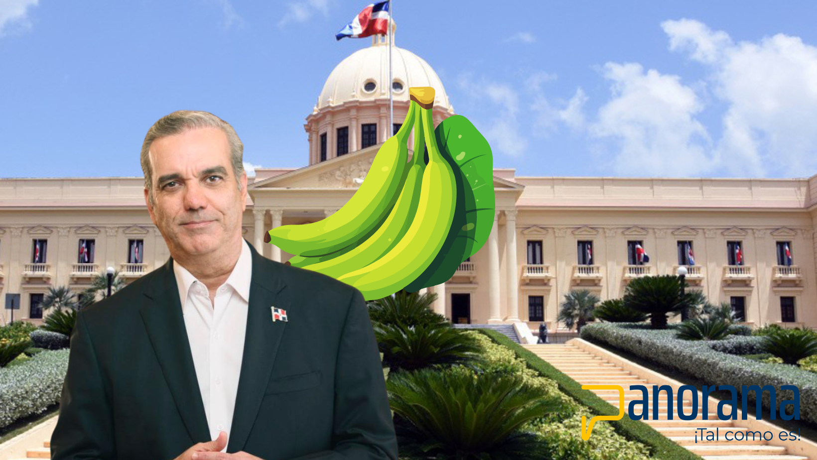 Presidente Abinader crea Comisión Dominicana del Plátano (CODOPLATANO) Disposición intensifica apoyo a la producción del plátano, que significará generación de empleos, creación de políticas públicas e incentivos en beneficio de los productores y el incremento de la comercialización del plátano en el mercado local e internacional