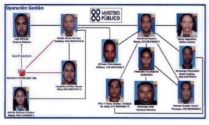 Operación-Gavilán