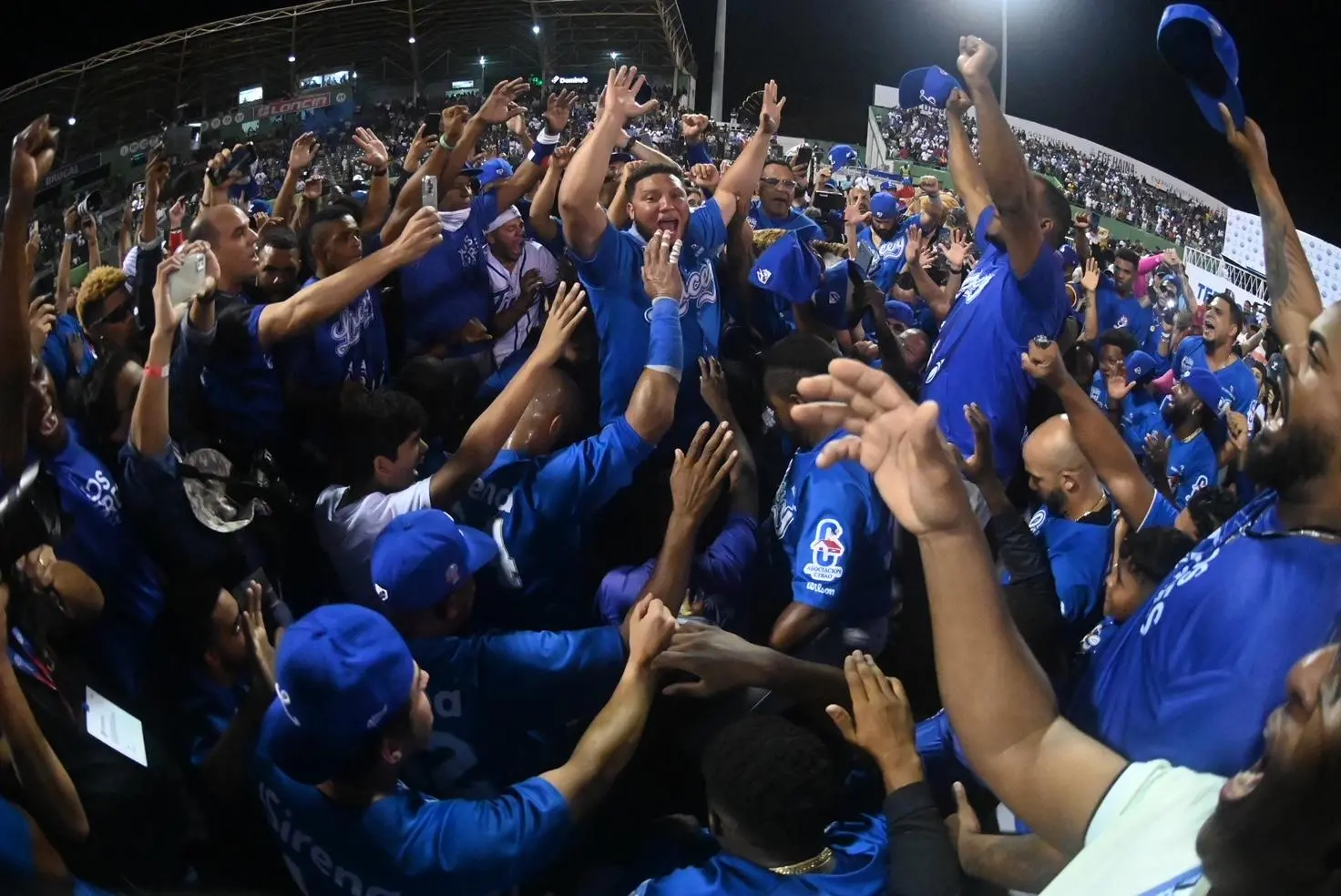 Licey campeón