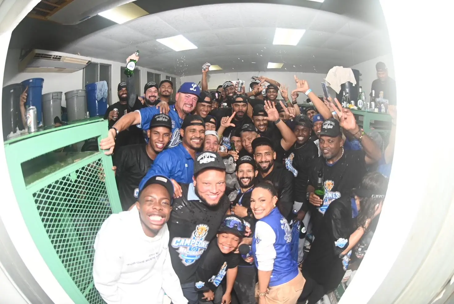 Licey campeón 