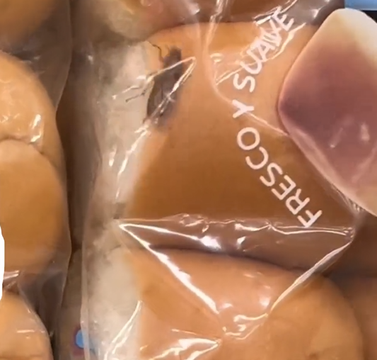 Denuncian fundas de pan con cucarachas