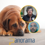 200 horas de labor social al acusado de arrastrar perro; Marilyn Lois ha deplorado condenas blandas en casos de maltrato animal