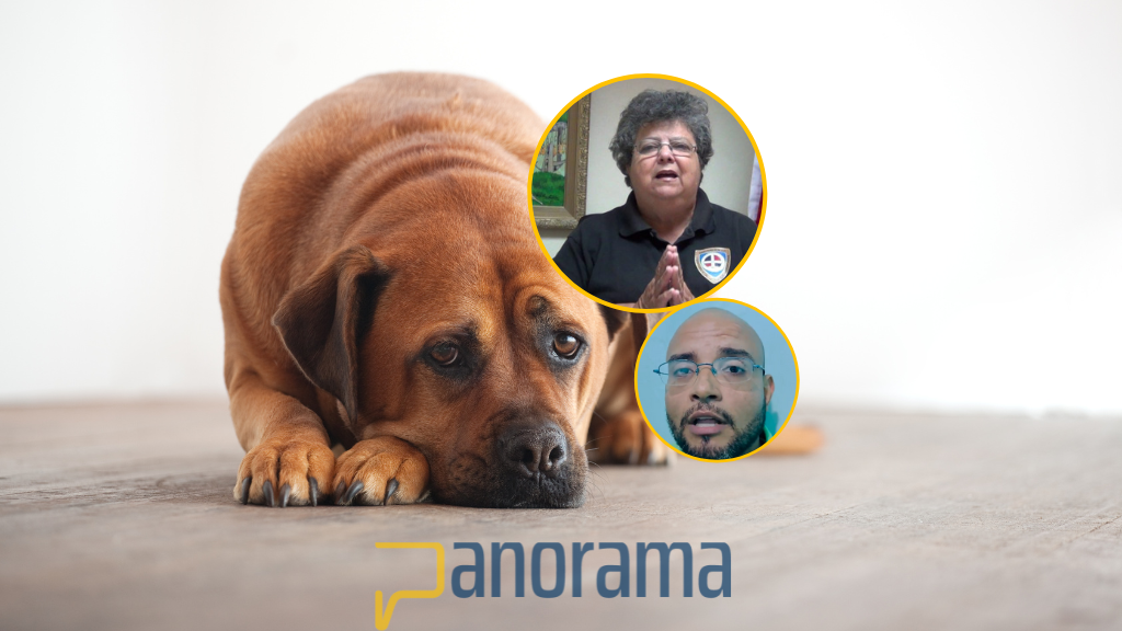 200 horas de labor social al acusado de arrastrar perro; Marilyn Lois ha deplorado condenas blandas en casos de maltrato animal