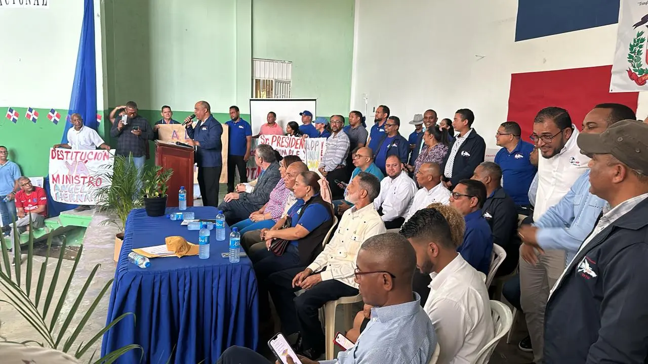 Tribunal de Santiago aplaza audiencia sobre el paro de docencia de la ADP