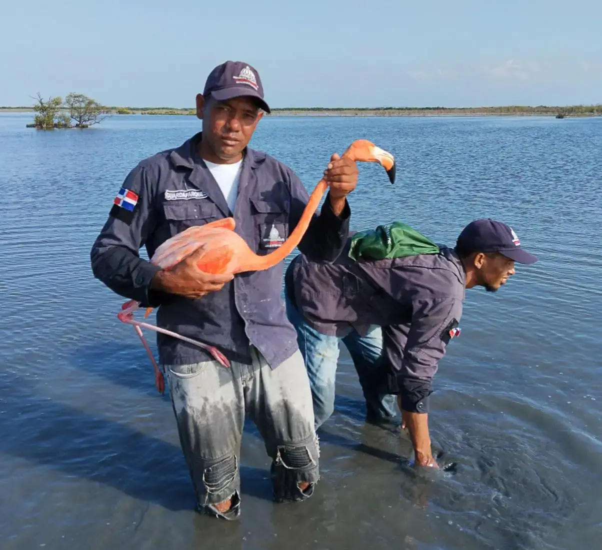 Medio Ambiente retira más de mil trampas para aves en Estero Balsa