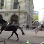 Caballos sueltos por las calles de Londres y hieren a cuatro personas