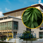 MP solicitará este lunes coerción contra jefe ruso de estafa internacional con cannabis