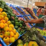 Fao informa sobre subida de precios