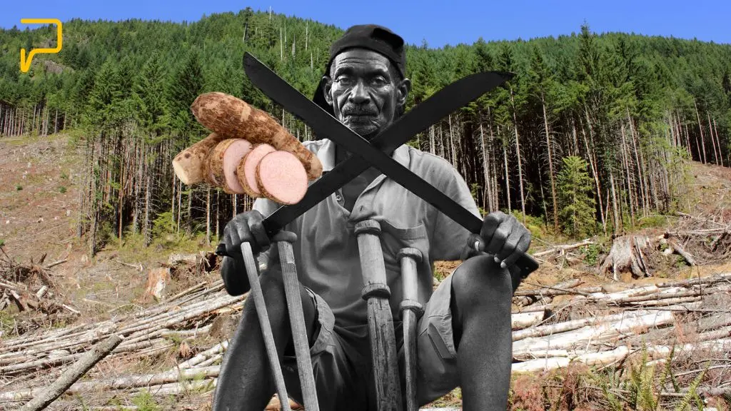 Haitianos presos en los Haitises