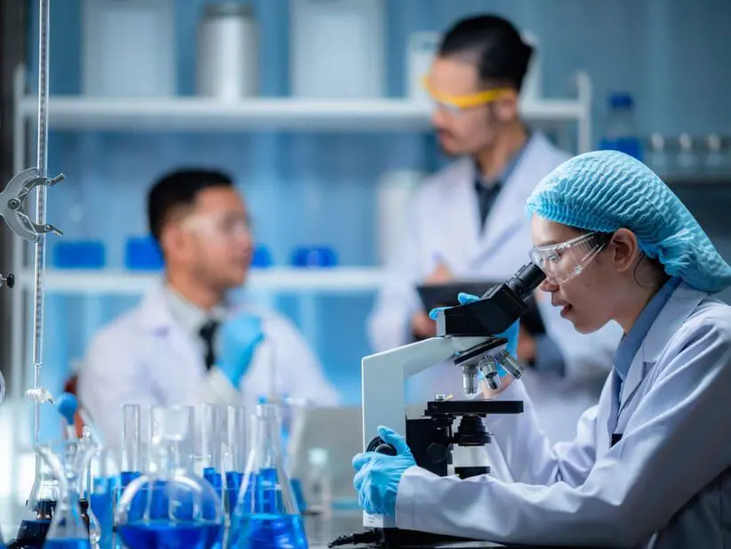 Reviven tejido cerebral humano que llevaba congelado 18 meses