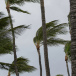 Mañana inicia la Temporada Ciclónica 2024, se esperan hasta 25 tormentas tropicales