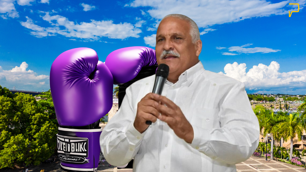 Jaime David Fernández Mirabal afirma el ´PLD defenderá el pueblo