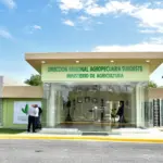 Alerta de alzas en precios del arroz es "irresponsable" y "temeraria", según Agricultura