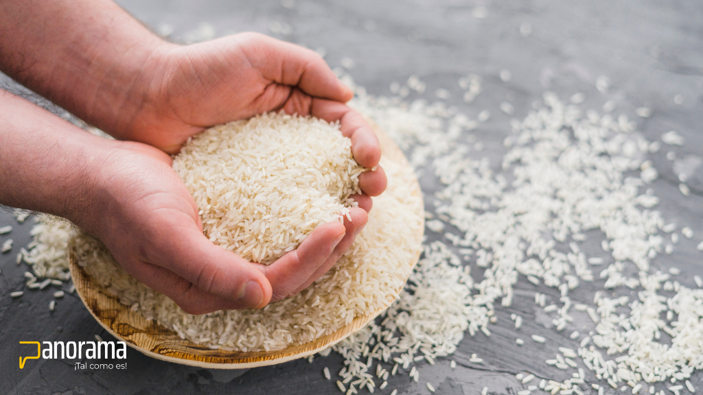 DR-CAFTA: ¿Cuál es la situación de la producción de arroz en el país?