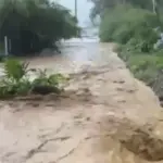 Agricultura ayudara a productores