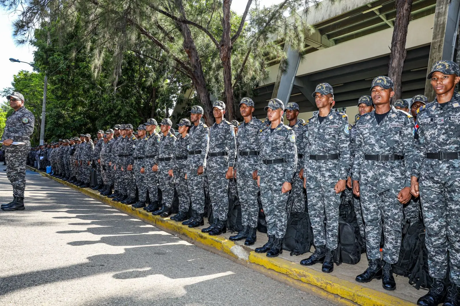 Contemplan la integración de 20 mil agentes policiales en el próximo Gobierno