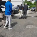 RD extradita dos dominicanos a Estados Unidos por fraude y lavado de activos