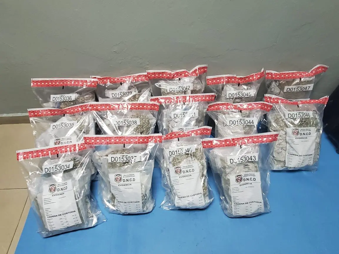Interceptan maleta con 38 paquetes de marihuana en aeropuerto Gregorio Luperón