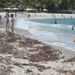 Sargazo en República Dominicana