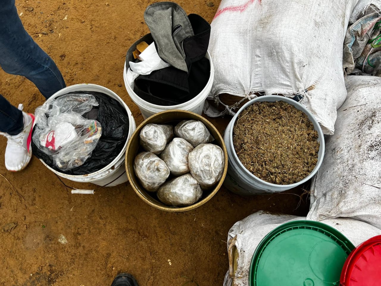 Confiscan cargamento de más de 1,000 libras de marihuana en Puerto Plata