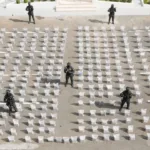 Ocupan 1.5 toneladas de cocaína en cargamento de limones en Caucedo