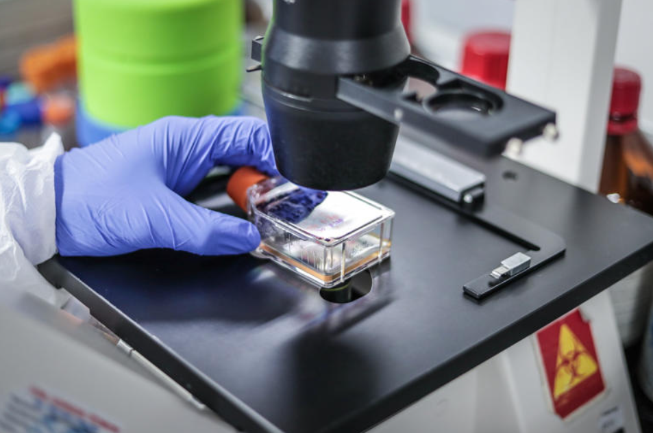 Crean cajas moleculares para hacer fármacos anticancerígenos más efectivos