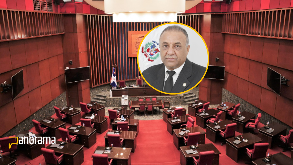 Diputado propone reducir de 32 a 10 los senadores en la reforma contitucional