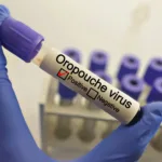 Identifican 21 casos de fiebre de Oropouche en EE.UU. en viajeros procedentes de Cuba