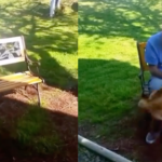 Perro no reconoce a su dueño hasta olerlo tras perder mucho peso por enfermedad