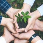 Día mundial de la Salud Ambiental: Un llamado para crear comunidades resilientes