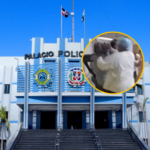 Pareja haitiana habría dado nombres falsos en el Darío Contreras, permanecen prófugos