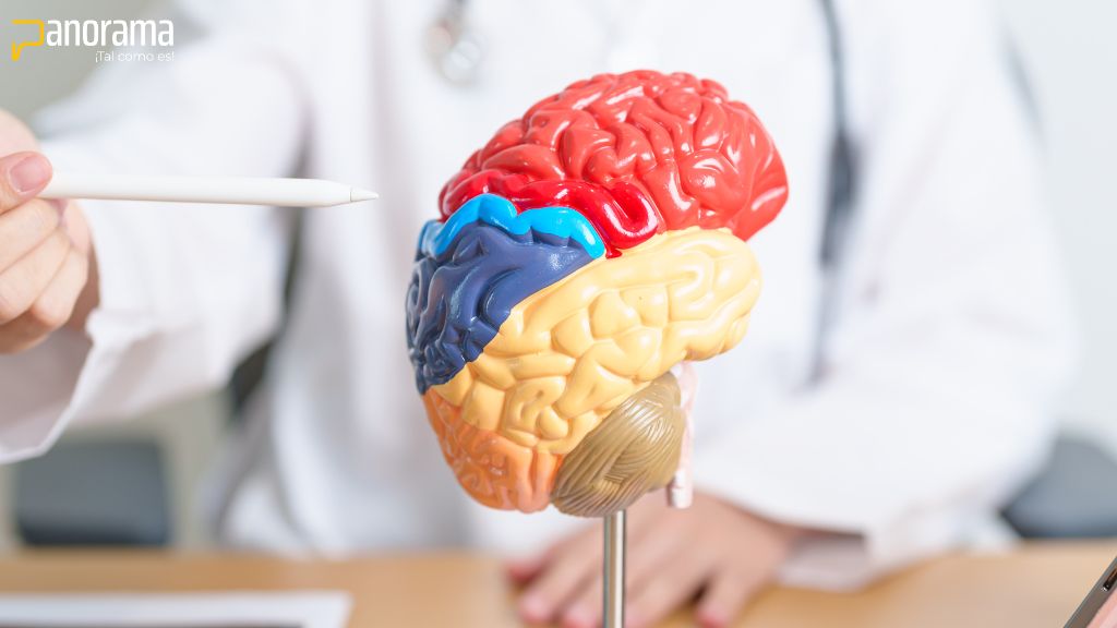 Párkinson: enfermedad de origen desconocido y que se manifiesta ya avanzada