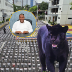 Alcalde de Bayahibe y su hijo niegan vínculos con Operación Panthera 7, según abogado