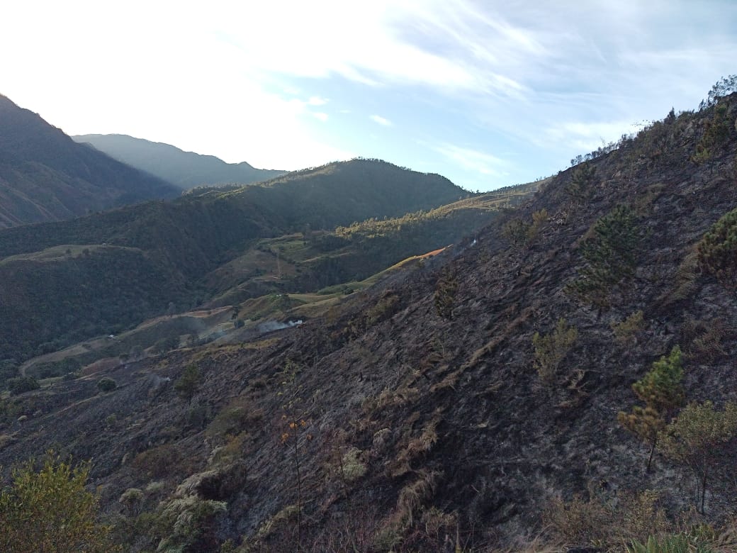 Bomberos forestales extinguen incendio en Parque Nacional Valle Nuevo