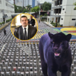 MP dice tiene “sobrado tiempo” para solicitar coerción en Operación Panthera 7