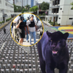 Aplazan por tercera vez coerción a implicados de caso Panthera 7