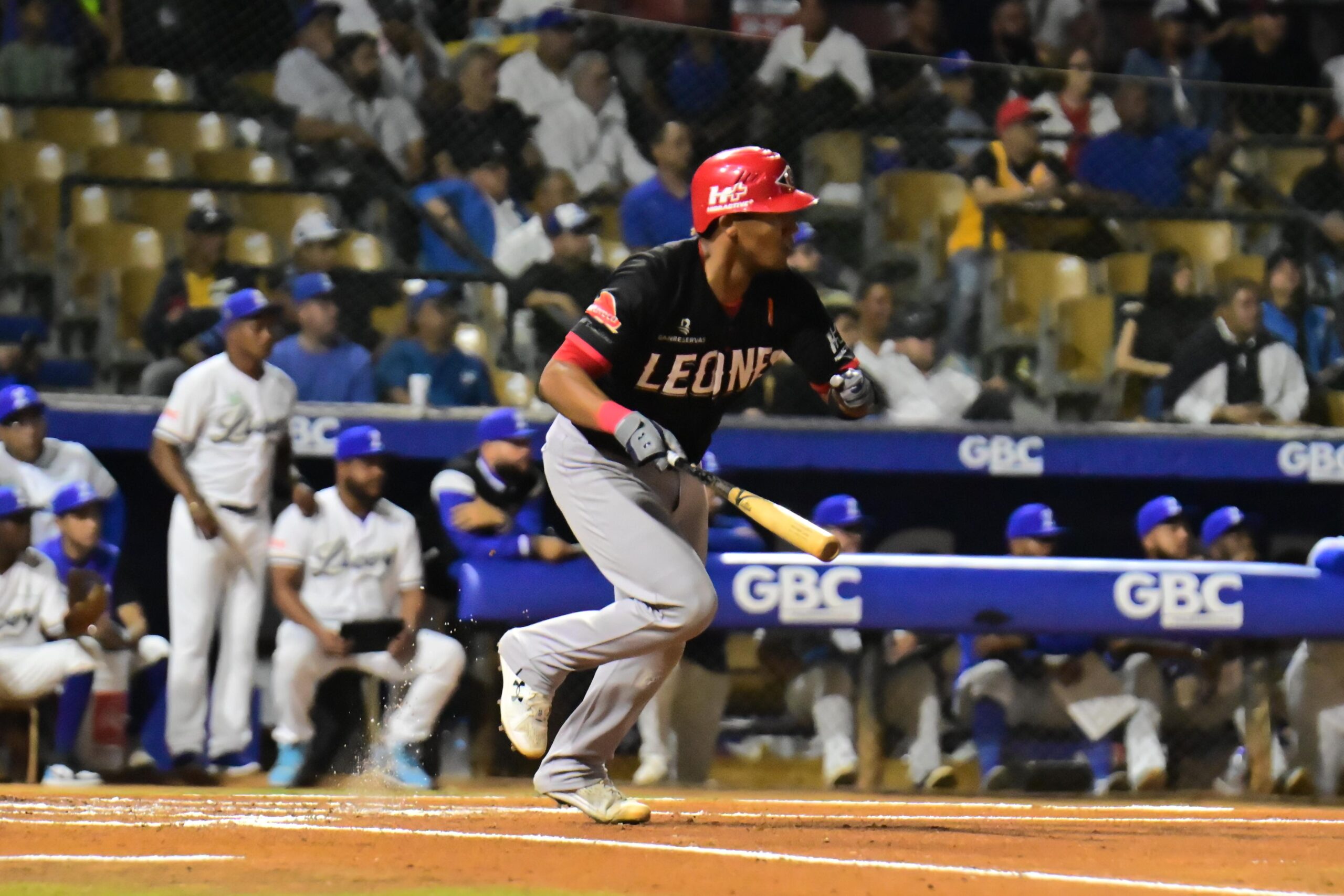 Pedro Severino