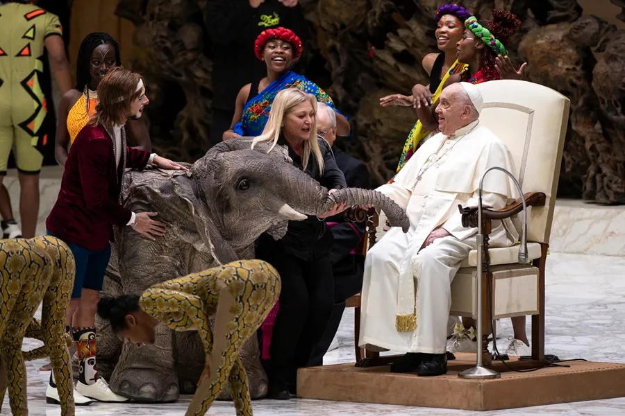Dos elefantes robóticos y un circo con temática africana, protagonistas en la audiencia general del papa