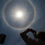 Halo salar