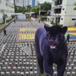 Tráfico, reclutamiento y secuestro: las claves de la Operación Panthera 7 según el Ministerio Público