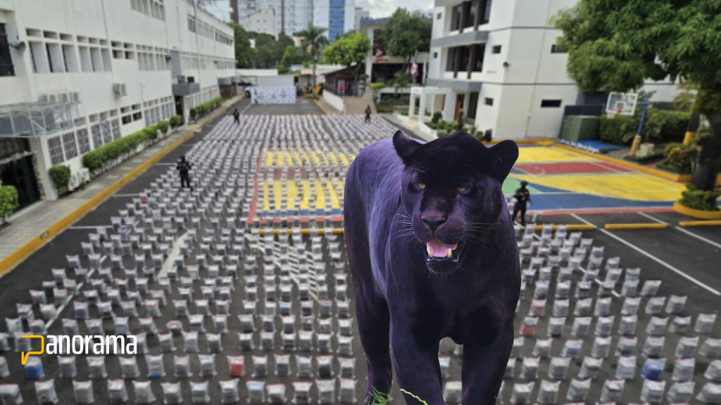 Tráfico, reclutamiento y secuestro: las claves de la Operación Panthera 7 según el Ministerio Público