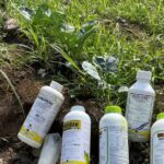 Autoridades encuentran mochilas con sospecha de pesticida en escuela de SFM